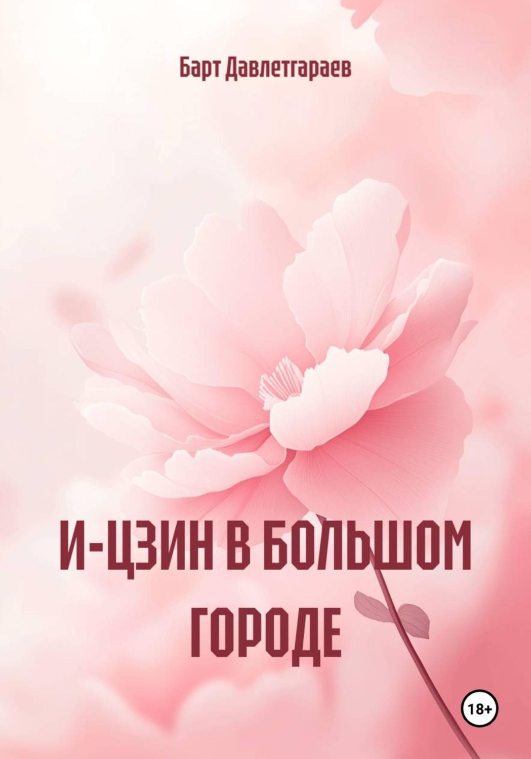 Обложка книги «И-ЦЗИН В БОЛЬШОМ ГОРОДЕ»