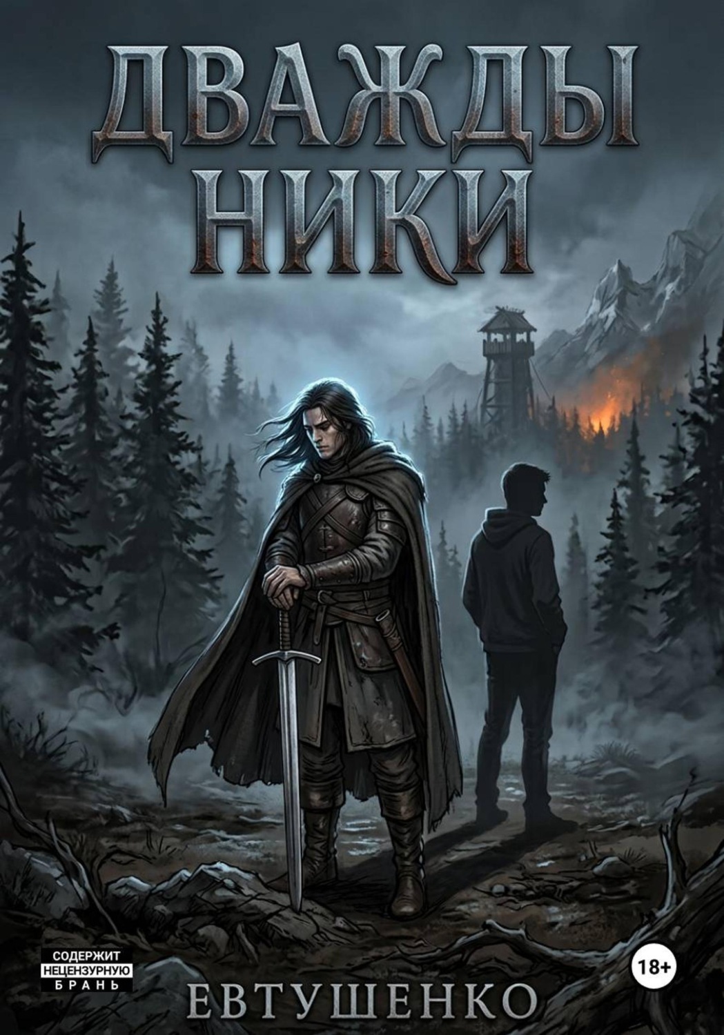Обложка книги «Дважды Ники»