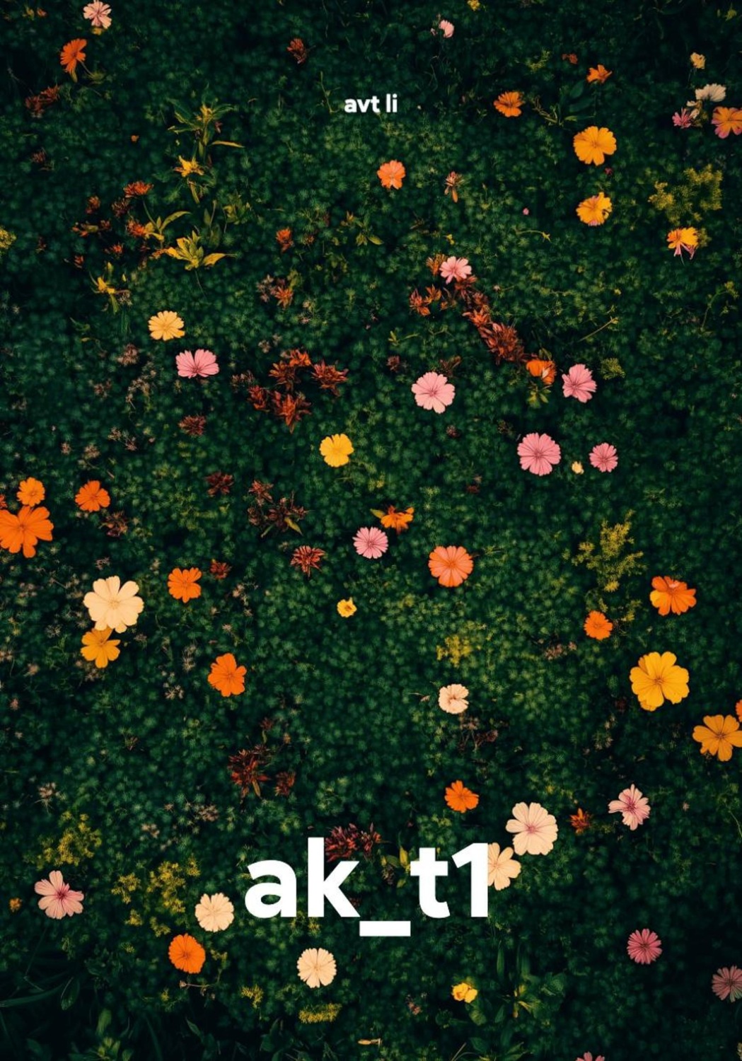 Обложка книги «ak_t1»