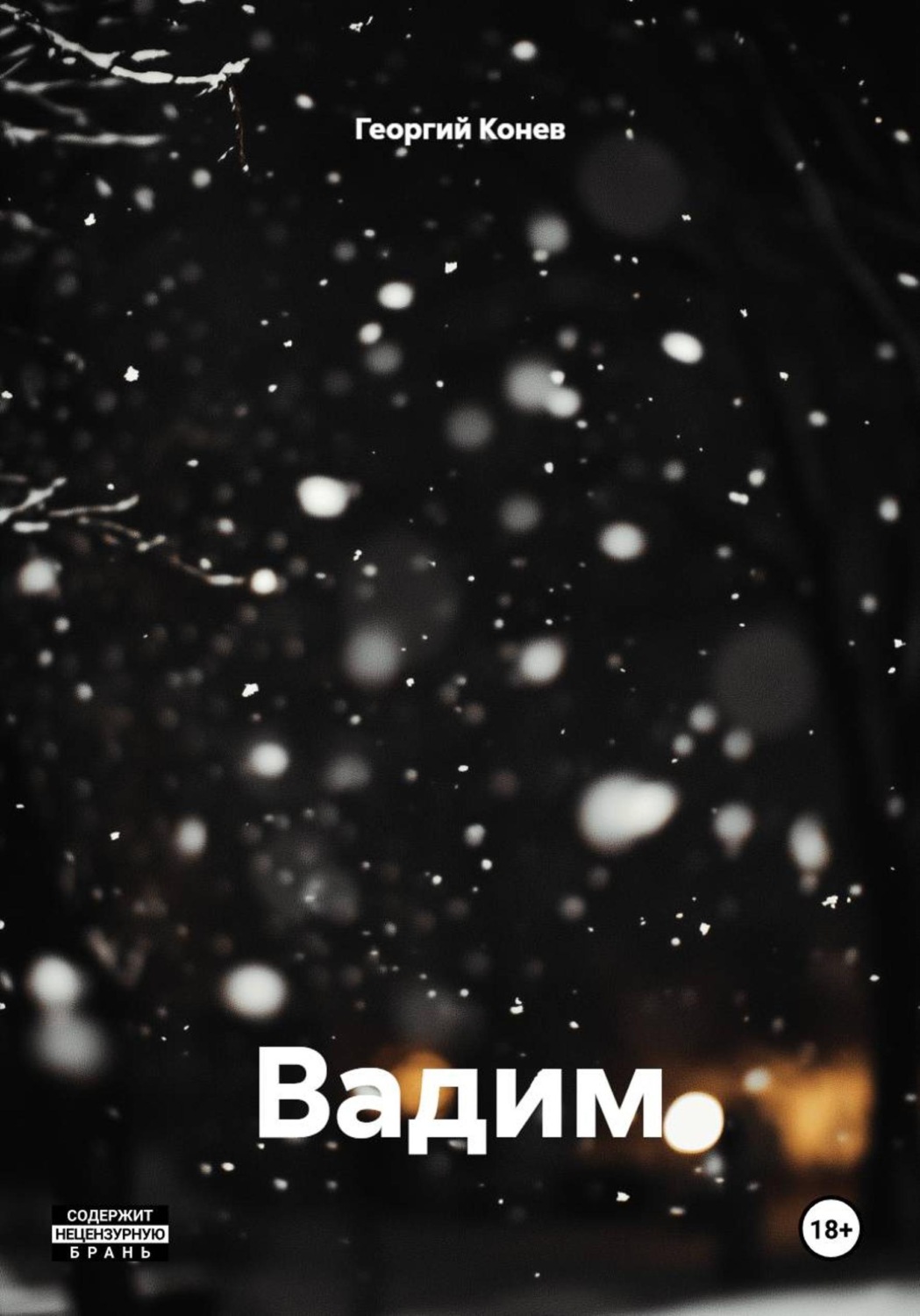 Обложка книги «Вадим»