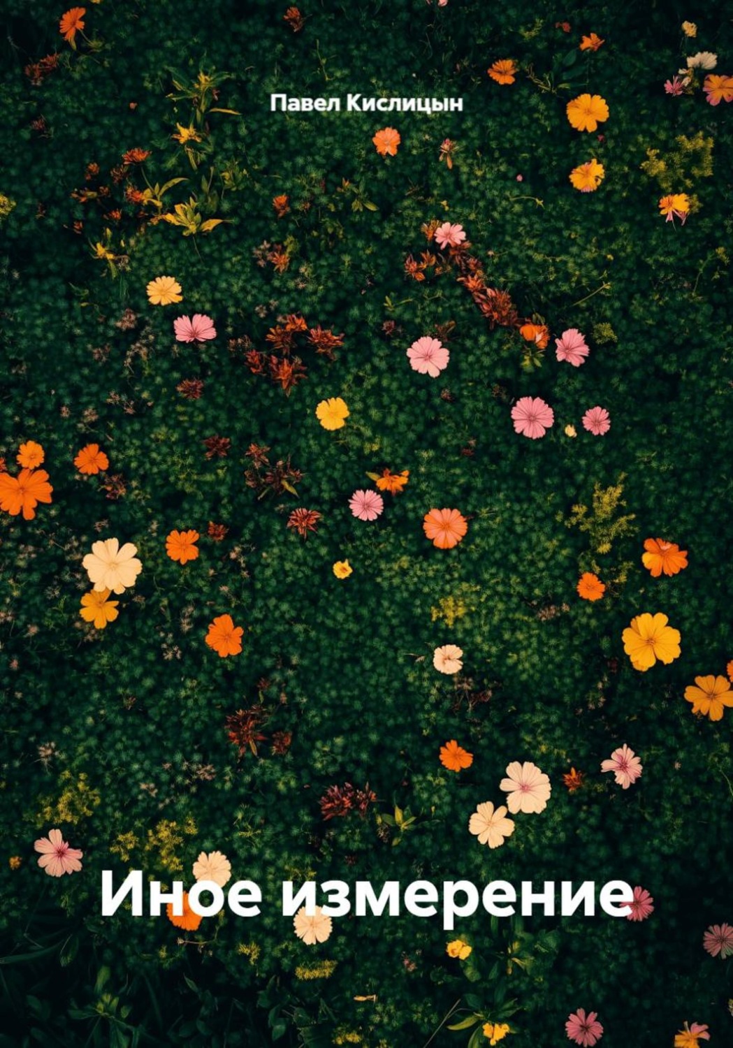 Обложка книги «Иное измерение»