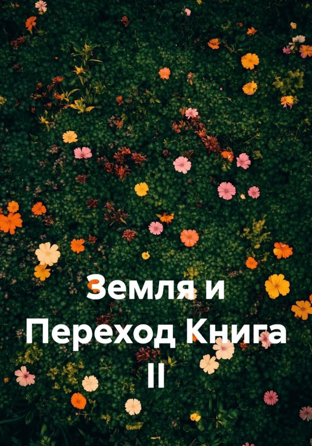Обложка книги «Земля и Переход Книга II»