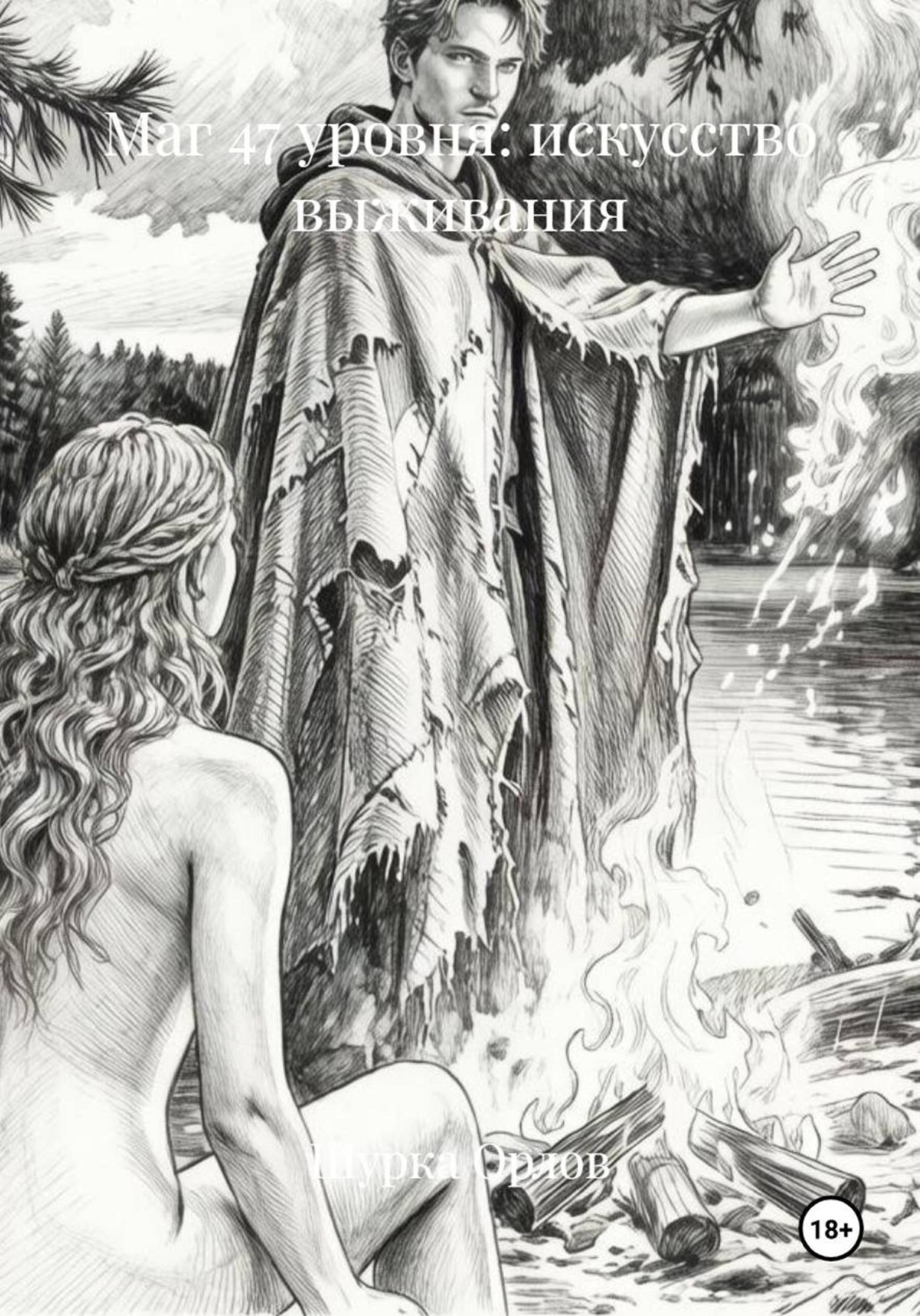 Обложка книги «Маг 47 уровня: искусство выживания»