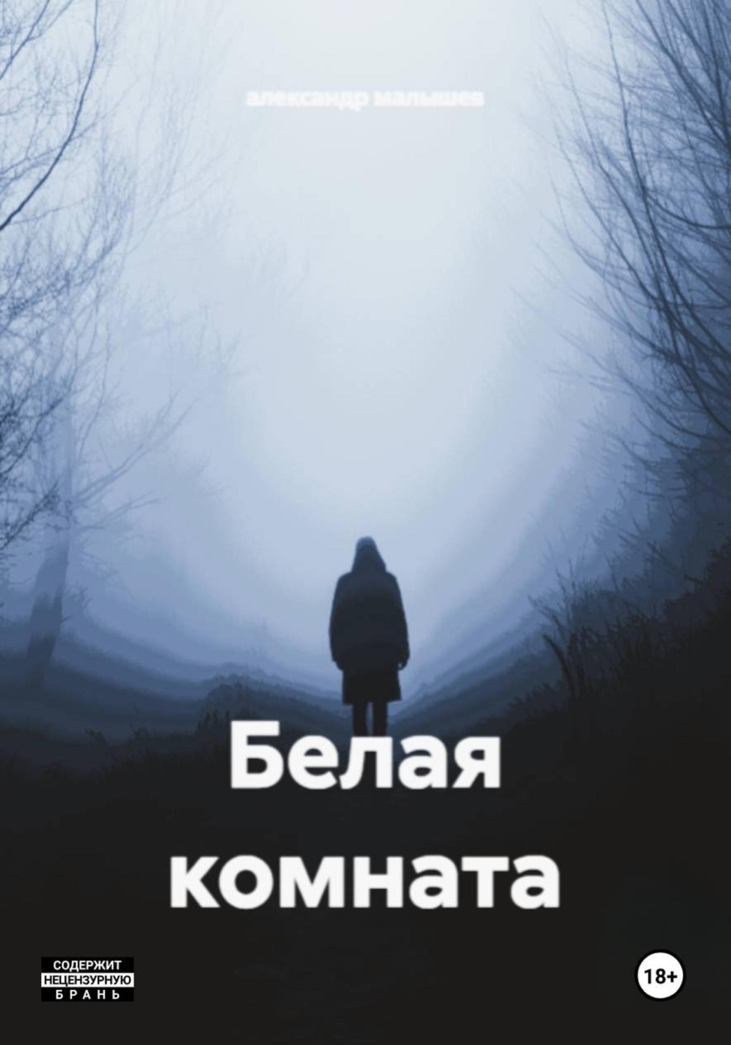 Обложка книги «Белая комната»