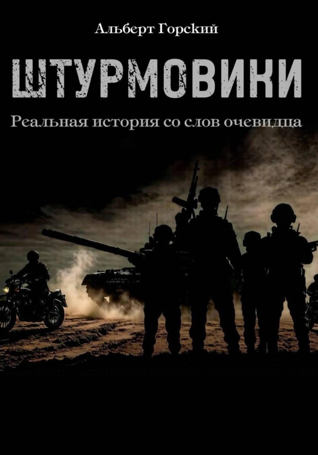 Обложка книги «Штурмовики»