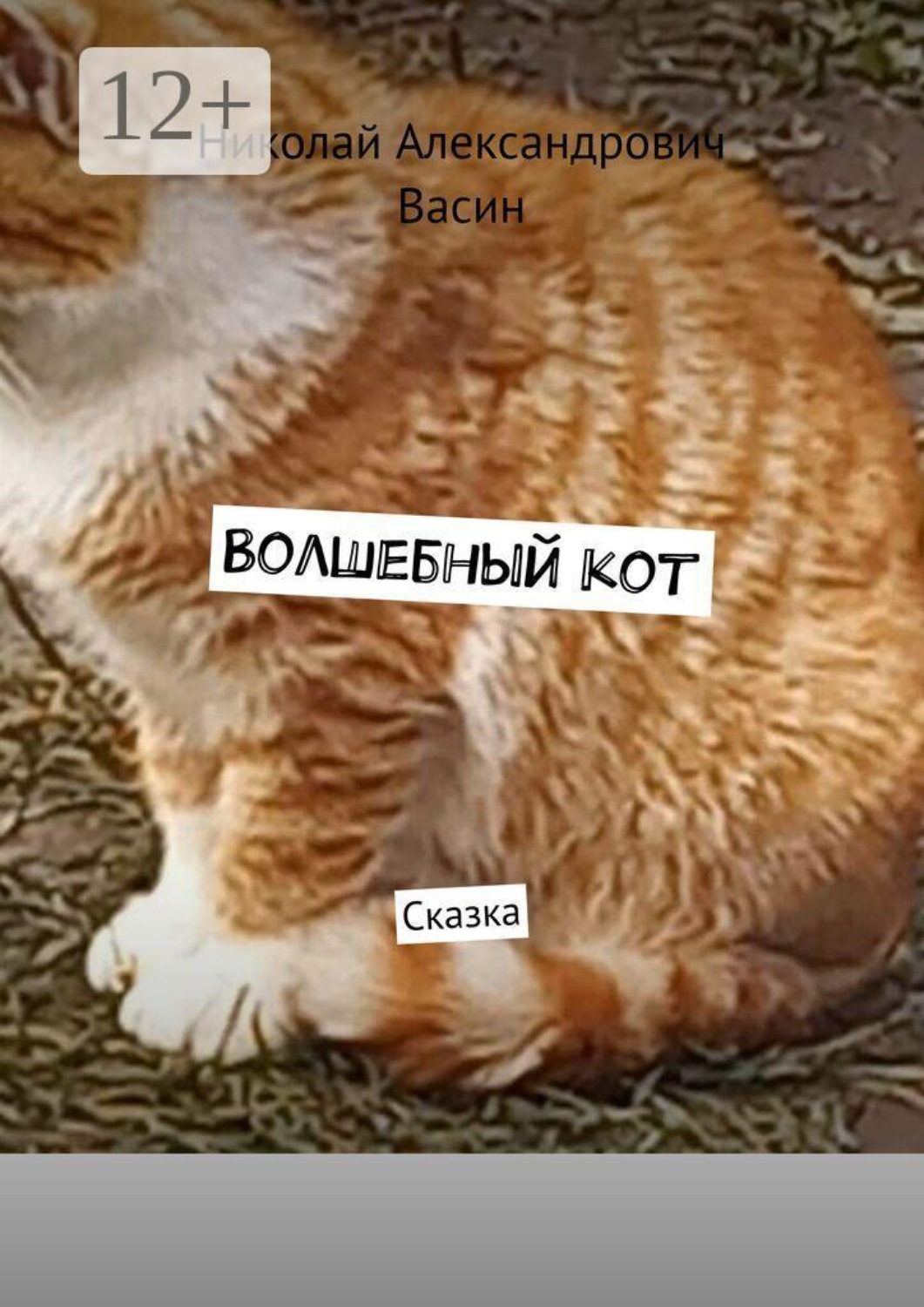 Обложка книги «Волшебный кот. Сказка»