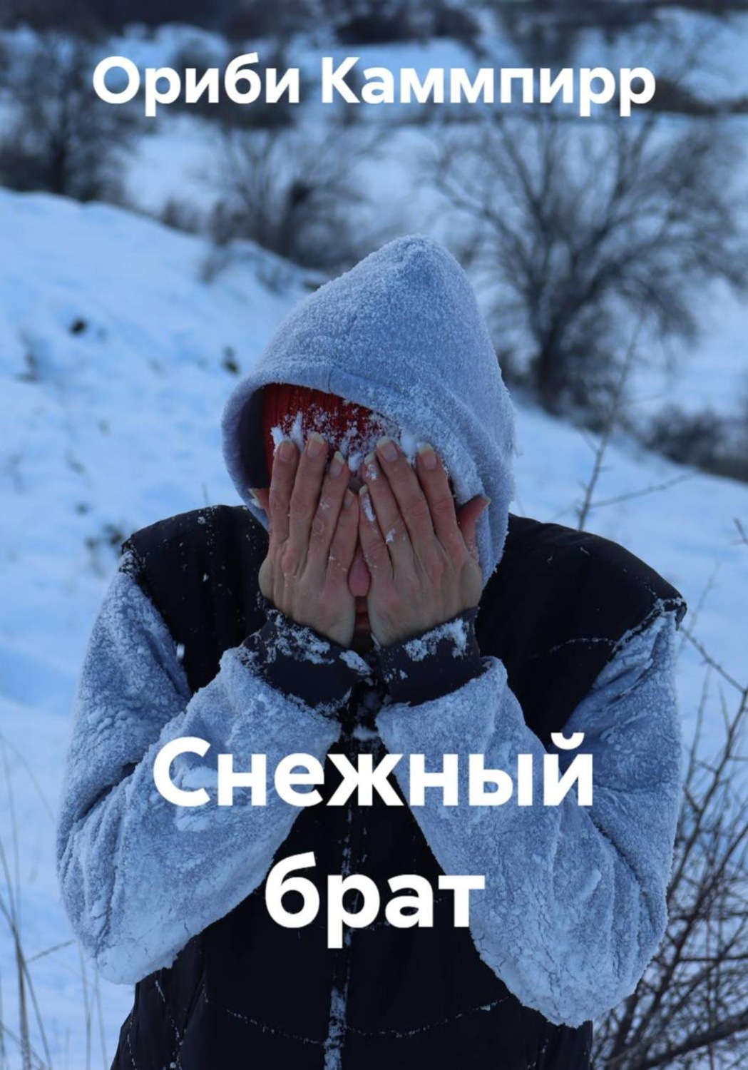 Обложка книги «Снежный брат»