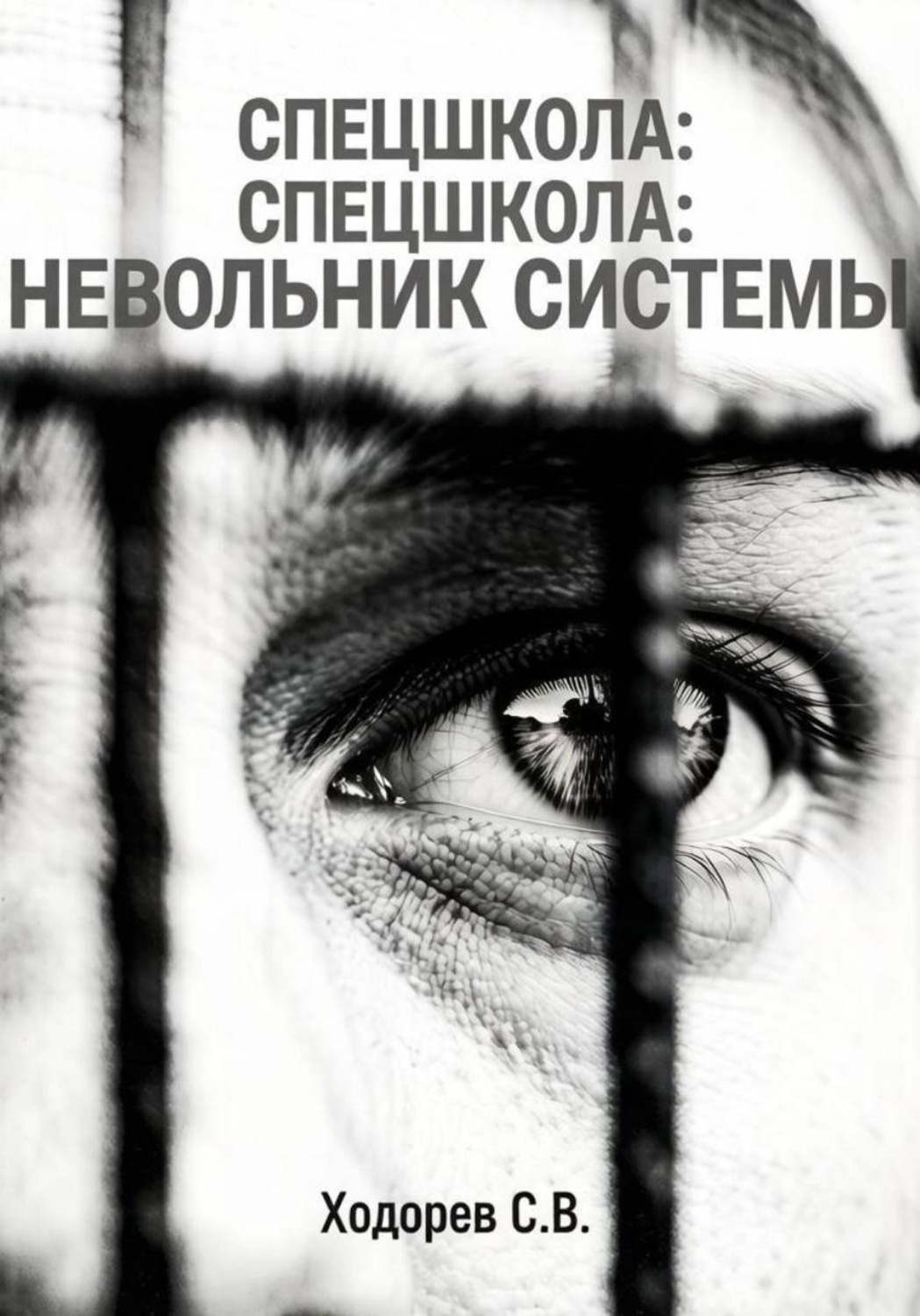 Обложка книги «Спецшкола. Невольник системы»