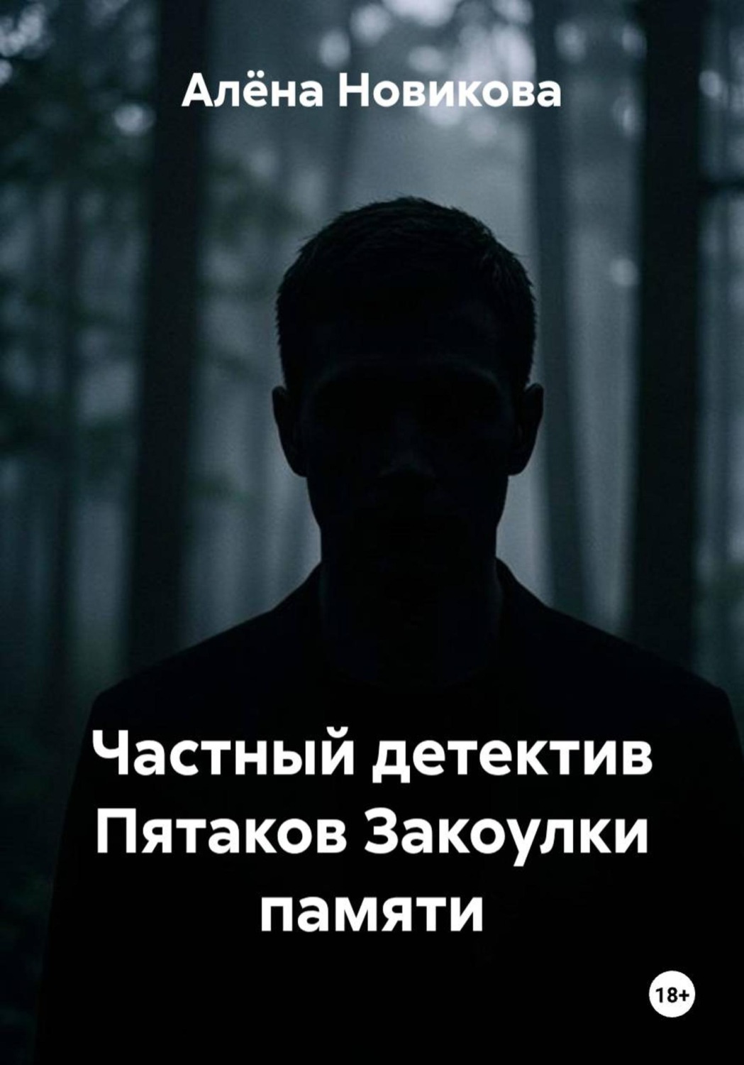 Обложка книги «Частный детектив Пятаков Закоулки памяти»