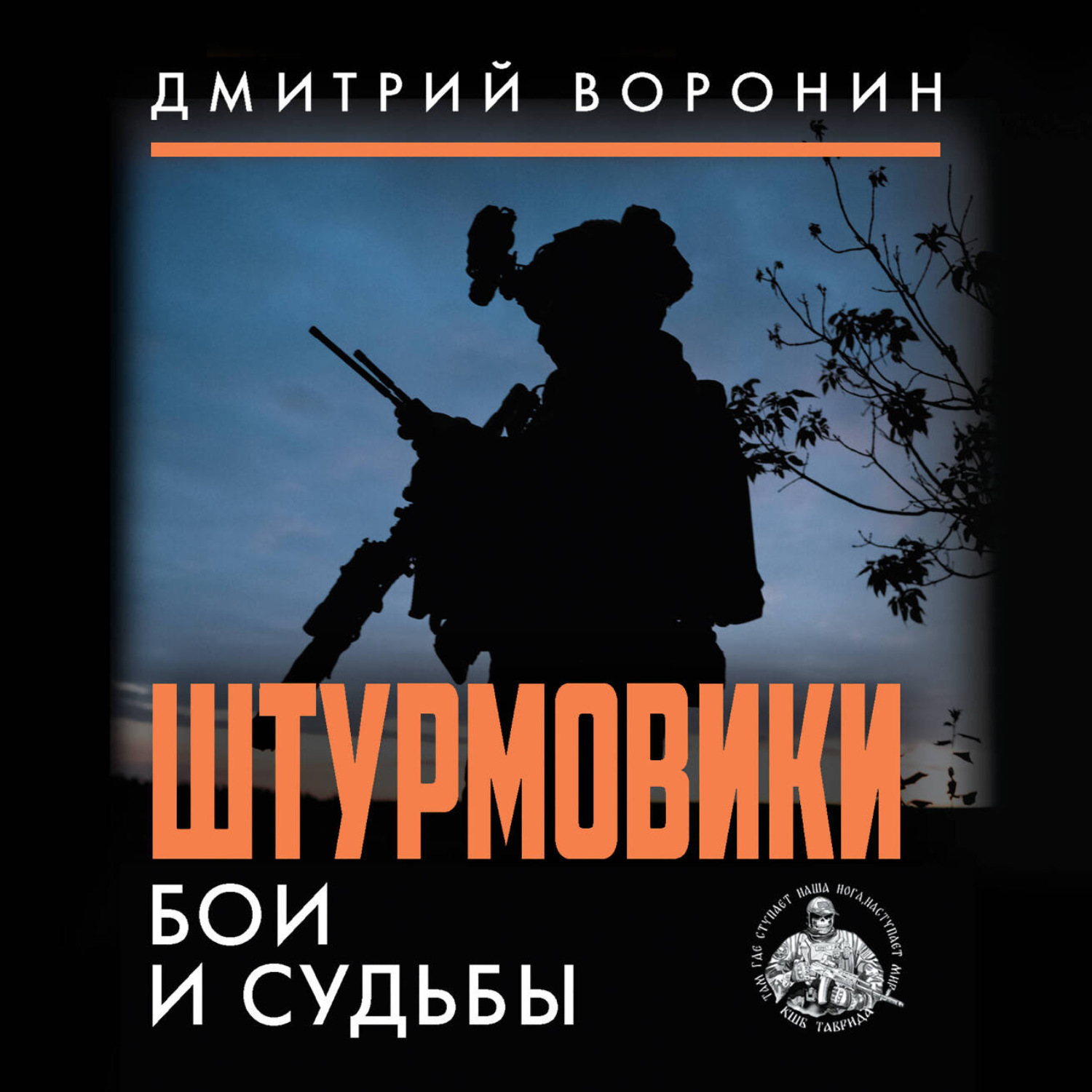 Обложка книги «Штурмовики. Бои и судьбы»