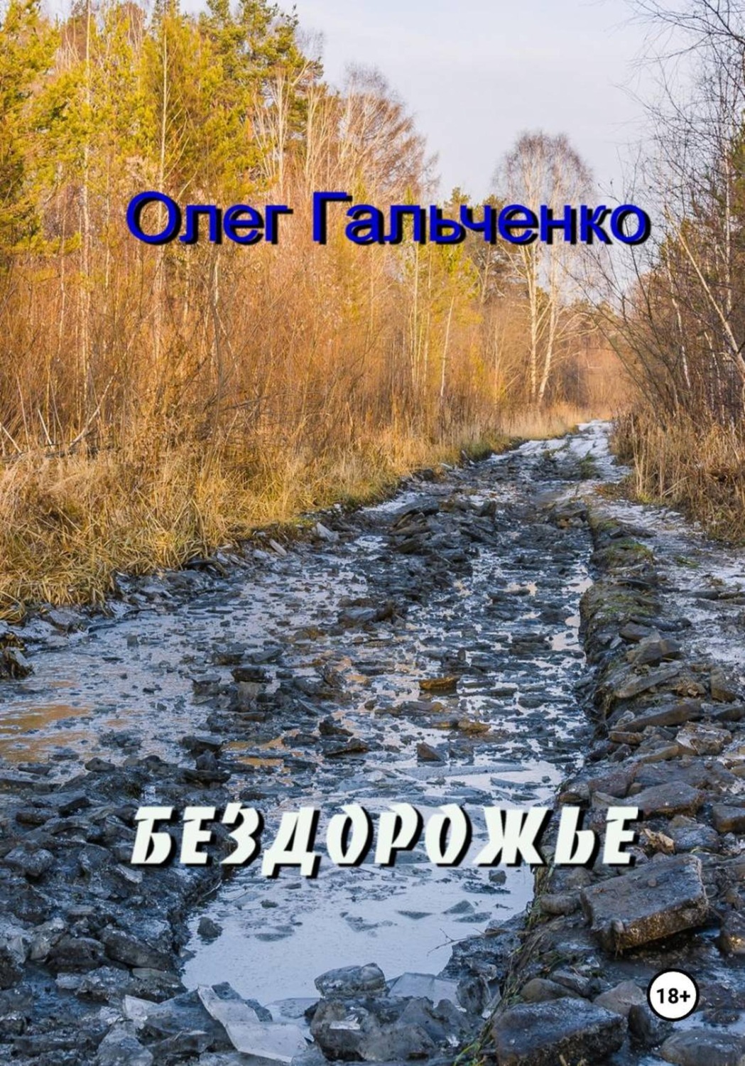 Обложка книги «БЕЗДОРОЖЬЕ»