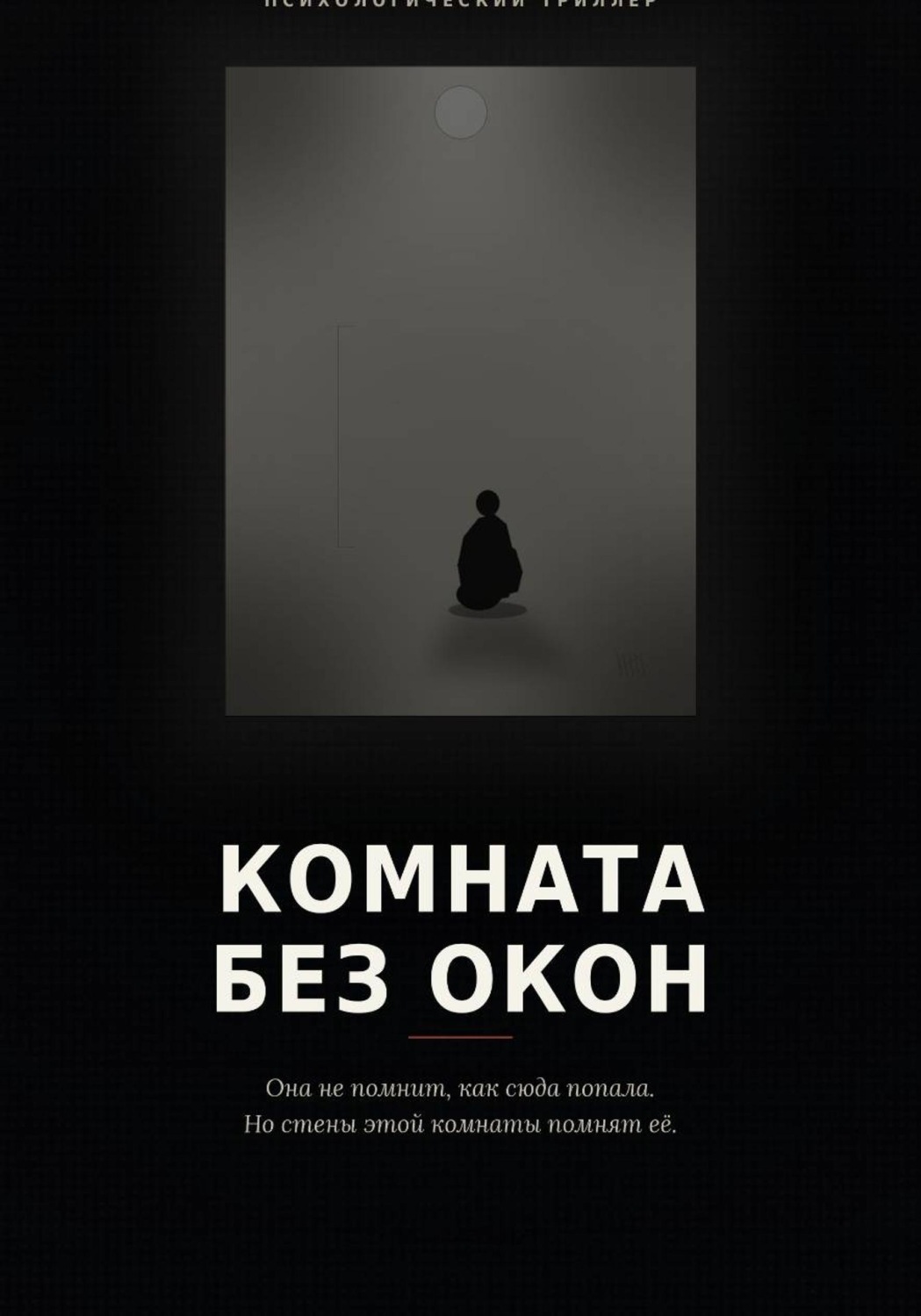 Обложка книги «Комната без окон»