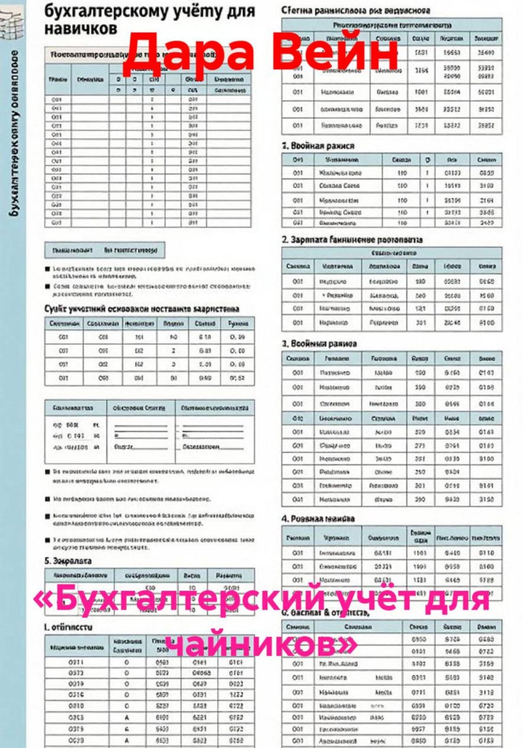 Обложка книги ««Бухгалтерский учёт для чайников»»