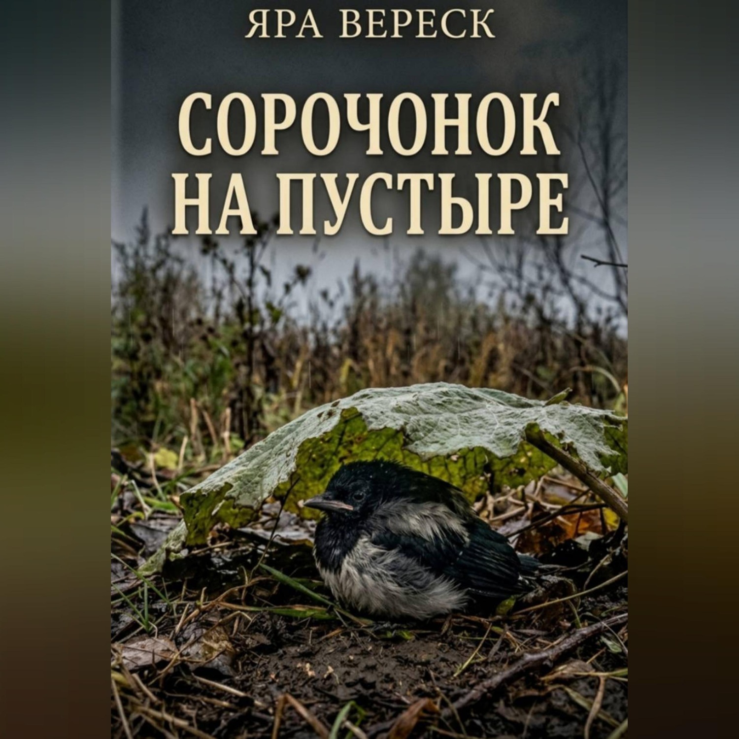 Обложка книги «Сорочонок на пустыре»