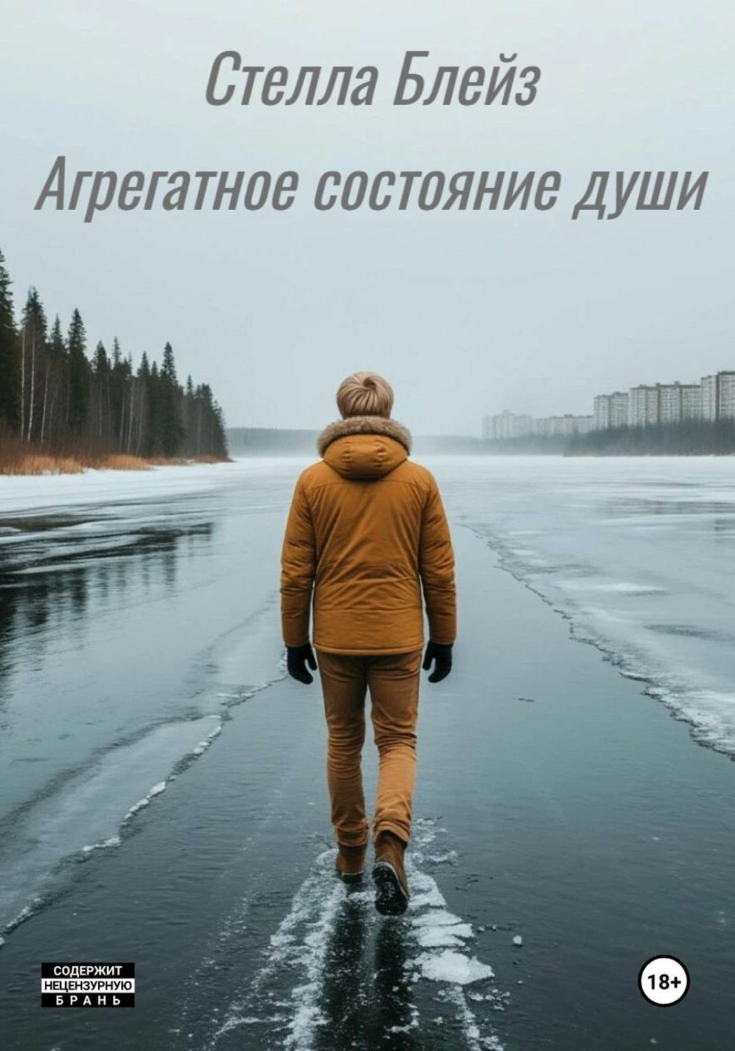 Обложка книги «Агрегатное состояние души»