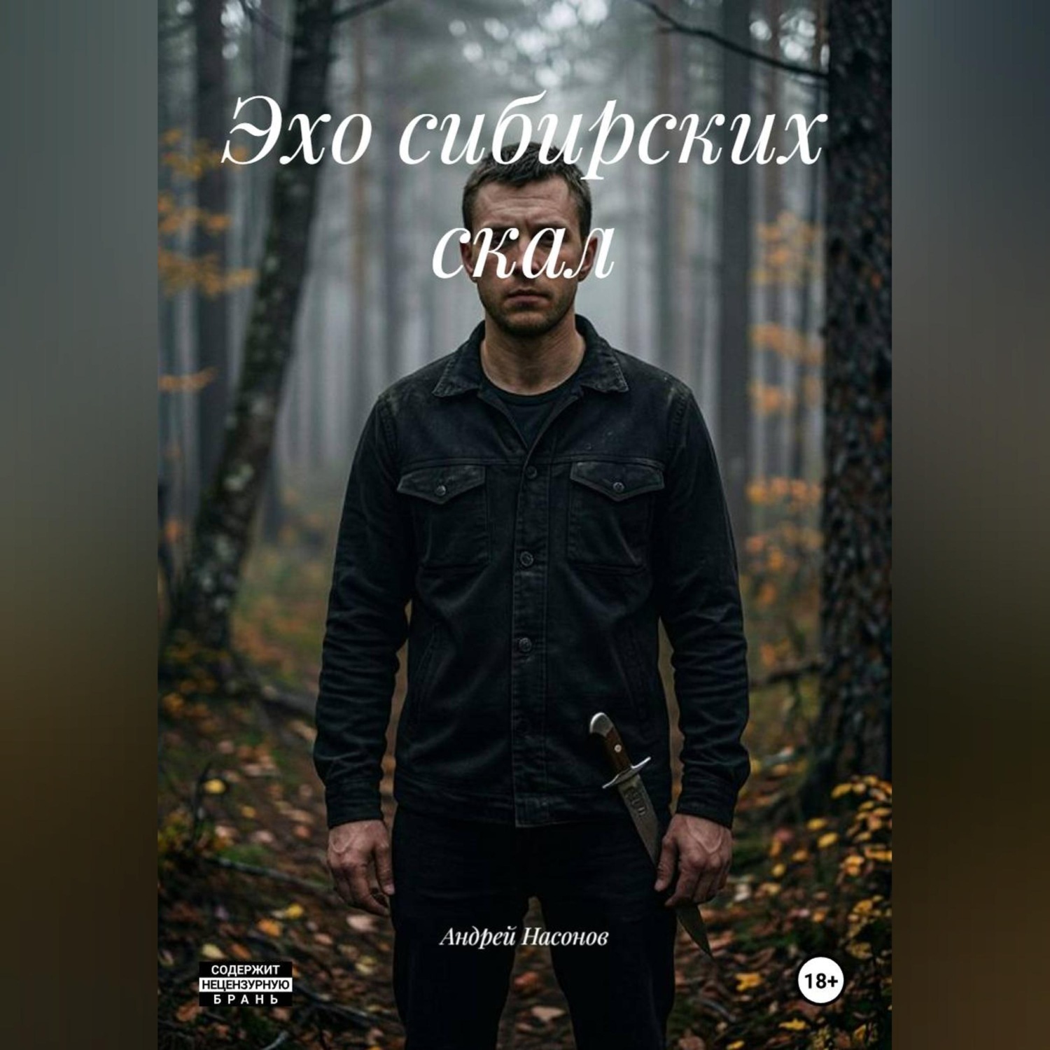 Обложка книги «Эхо сибирских скал»