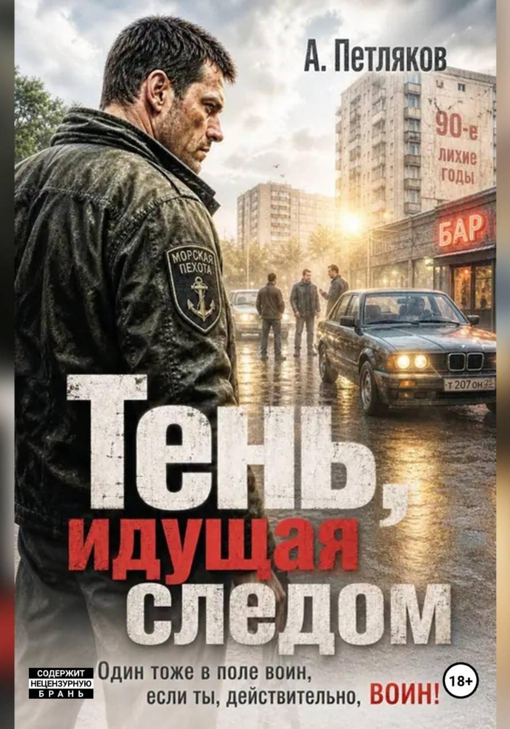 Обложка книги «Тень, идущая следом»