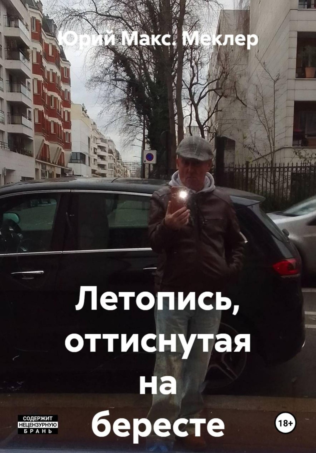 Обложка книги «Летопись, оттиснутая на бересте»