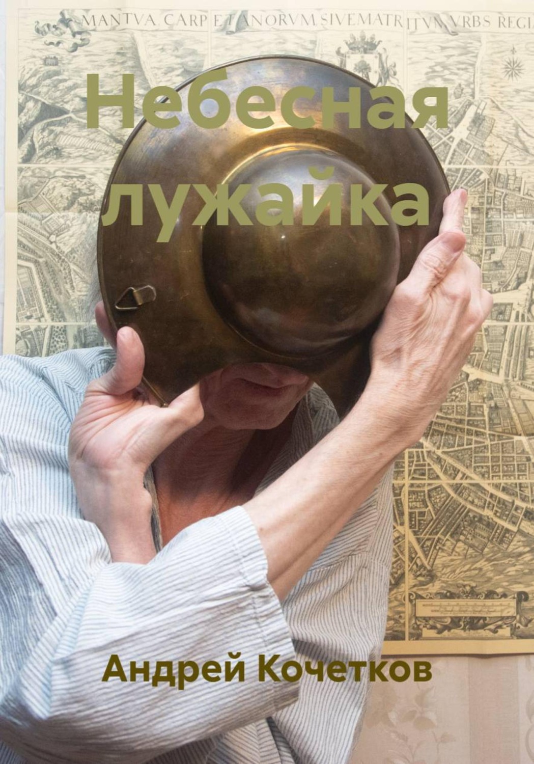 Обложка книги «Небесная лужайка»