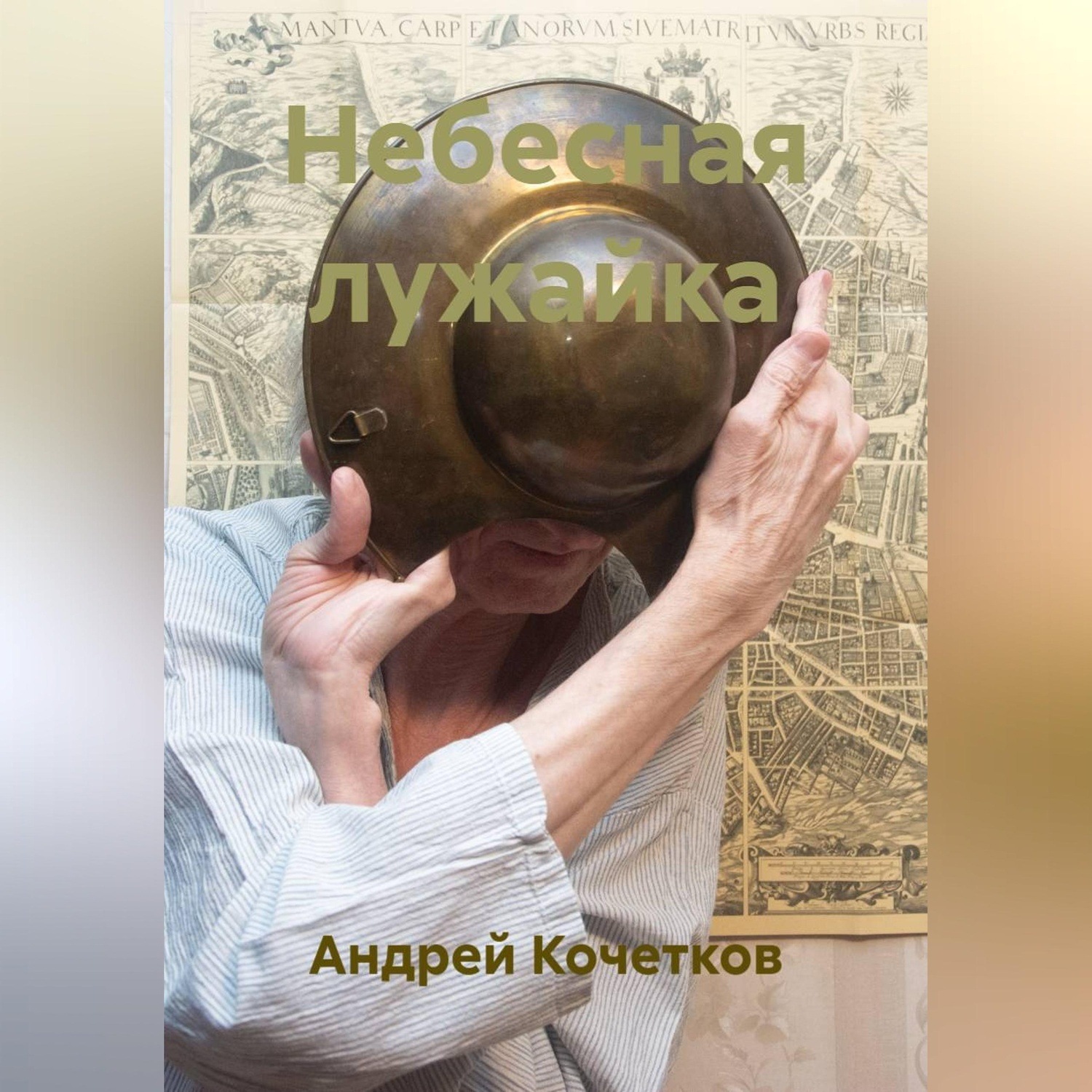Обложка книги «Небесная лужайка»