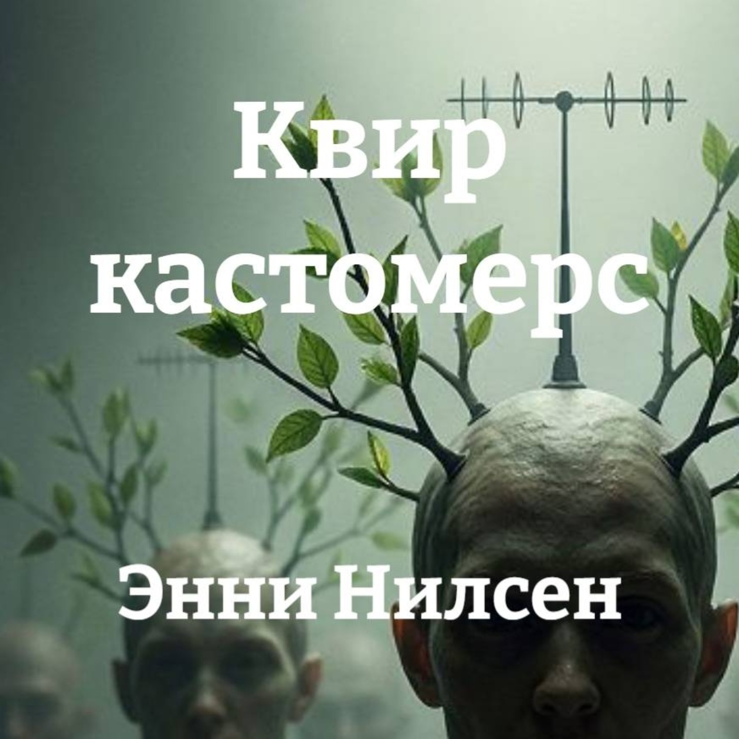 Обложка книги «Квир кастомерс»