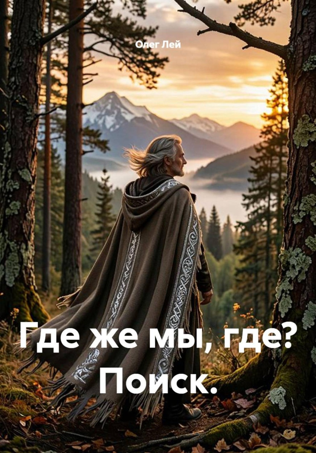 Обложка книги «Где же мы, где? Поиск.»
