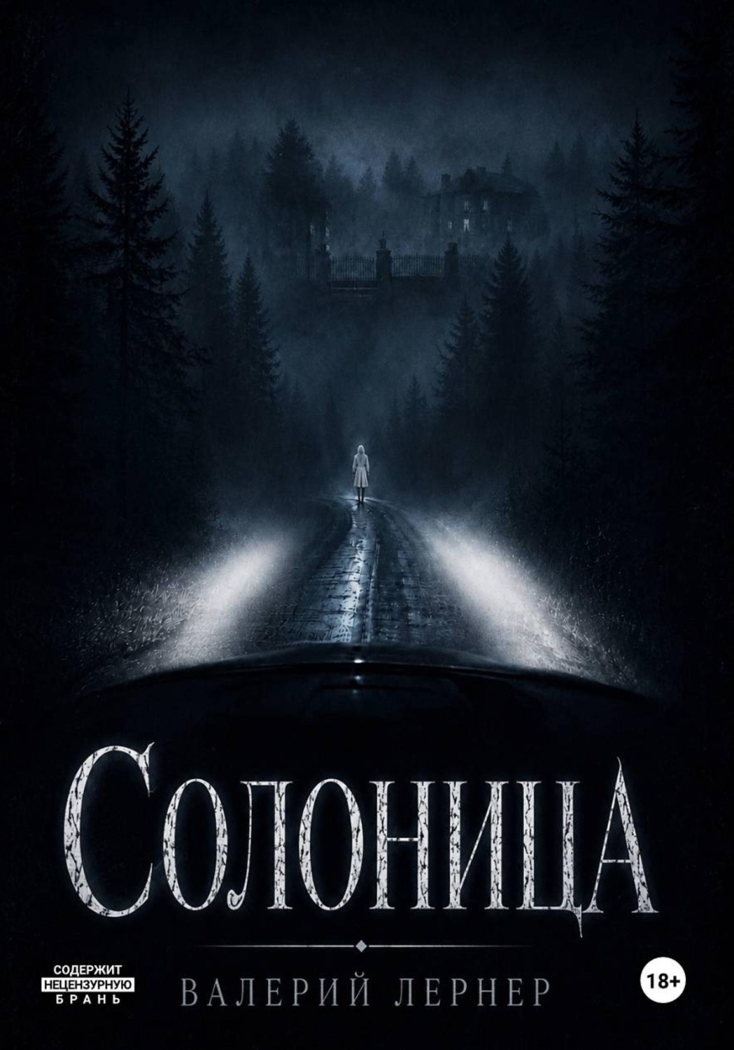Обложка книги «Солоница»