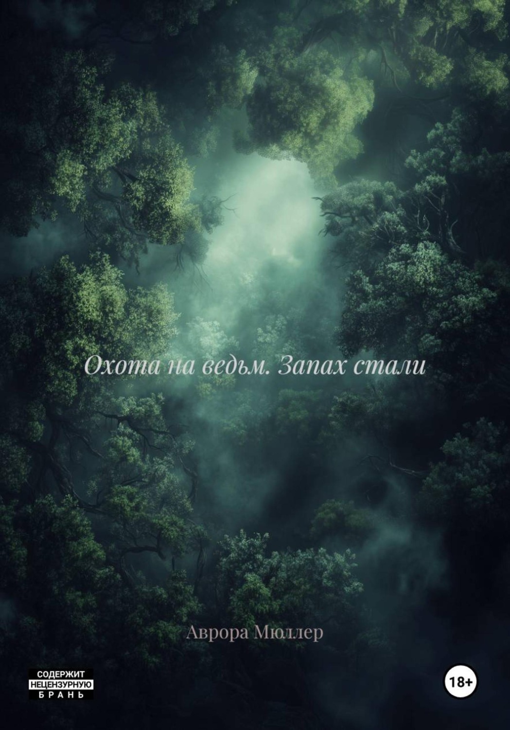 Обложка книги «Охота на ведьм. Запах стали»