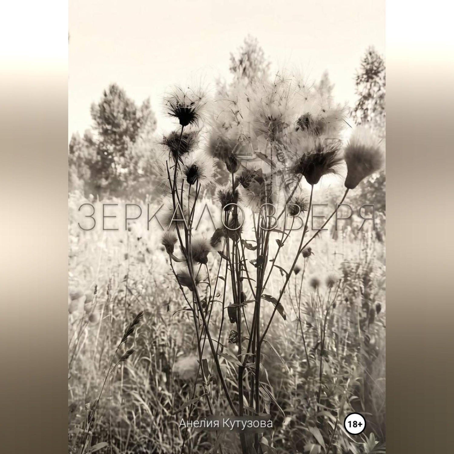 Обложка книги «Зеркало зверя»