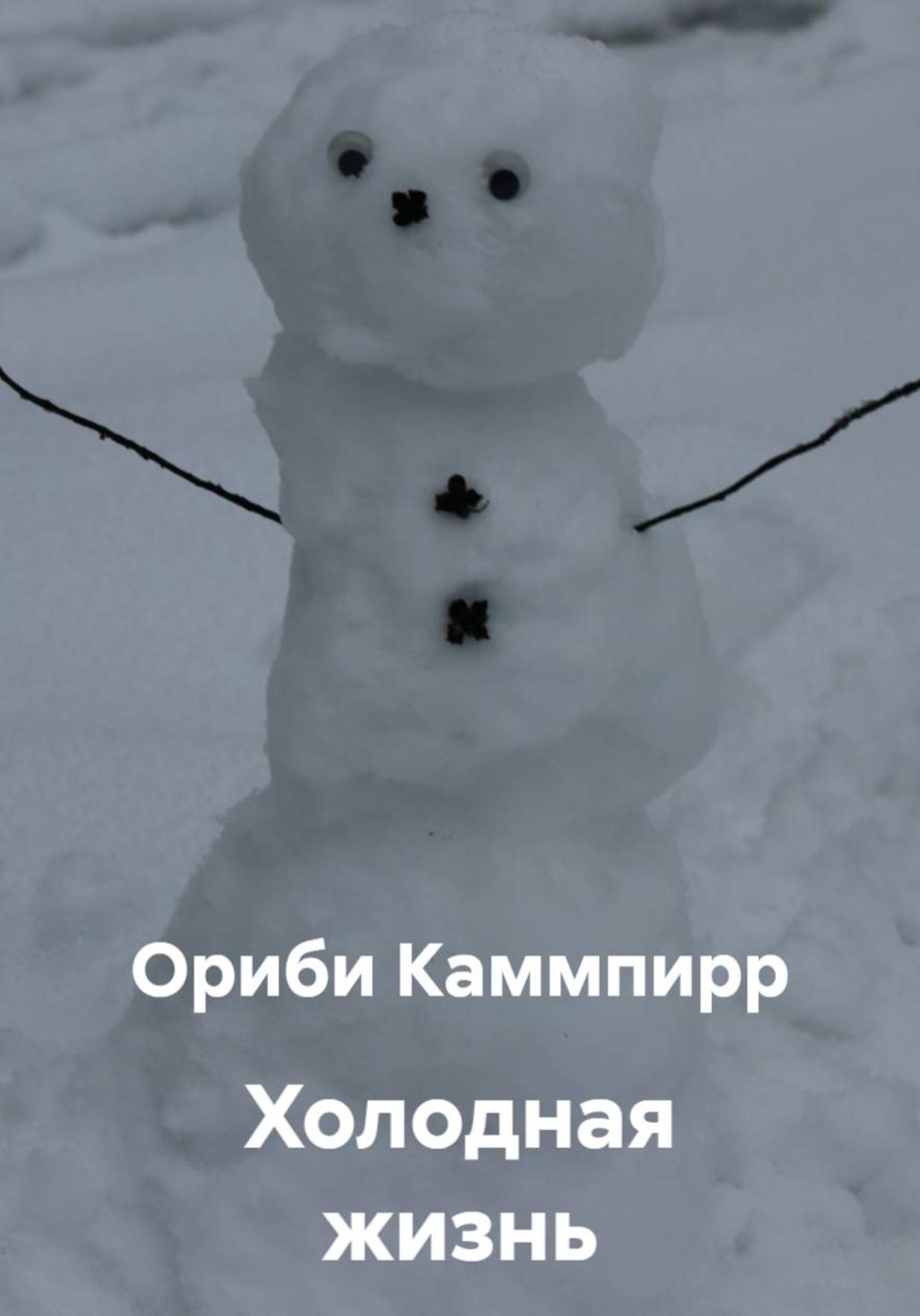 Обложка книги «Холодная жизнь»