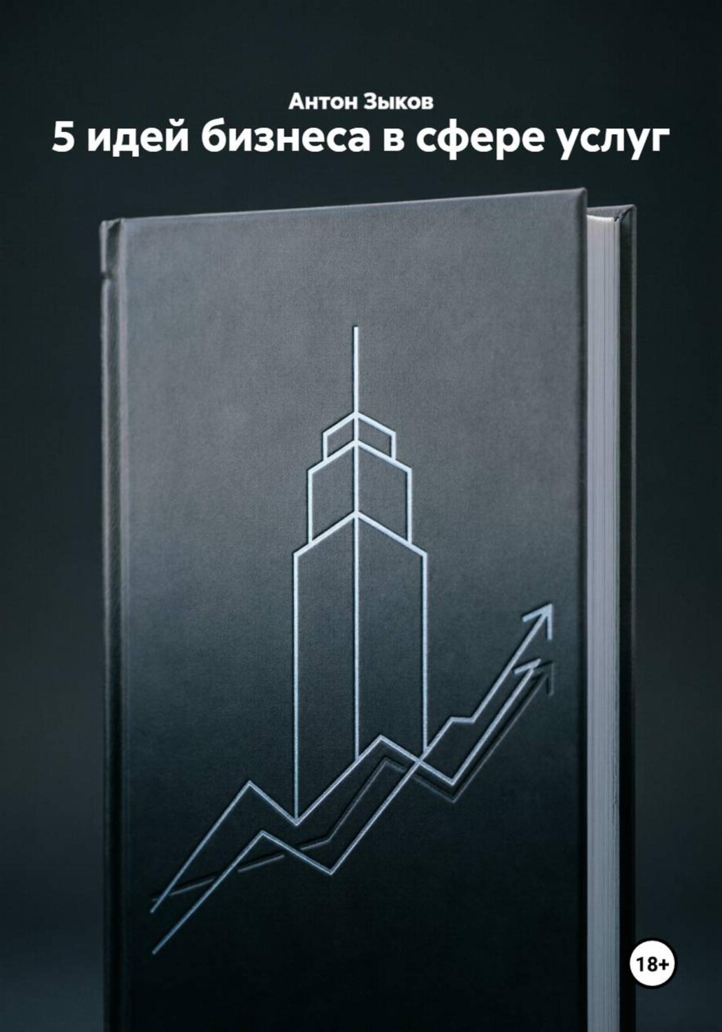 Обложка книги «5 идей бизнеса в сфере услуг»