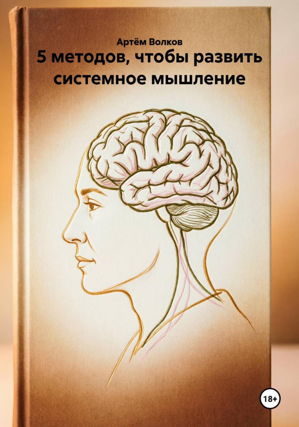 Обложка книги «5 методов, чтобы развить системное мышление»