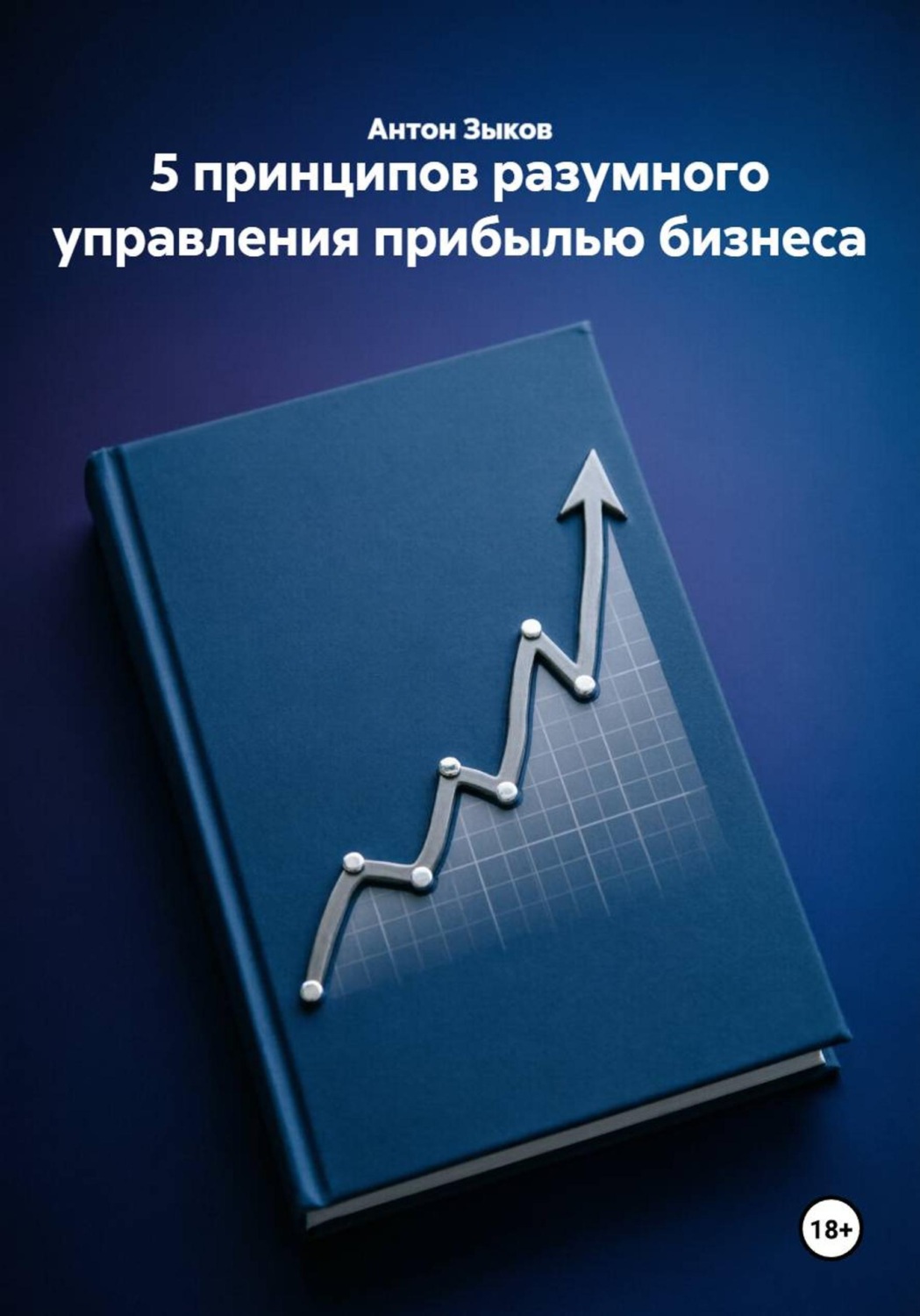 Обложка книги «5 принципов разумного управления прибылью бизнеса»