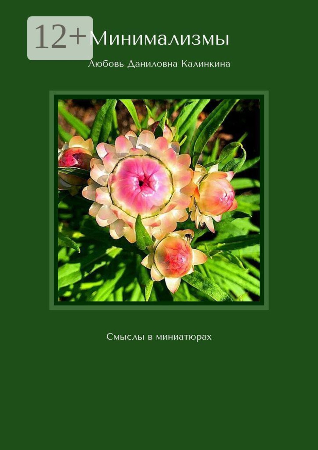 Обложка книги «Минимализмы. Смыслы в миниатюрах»