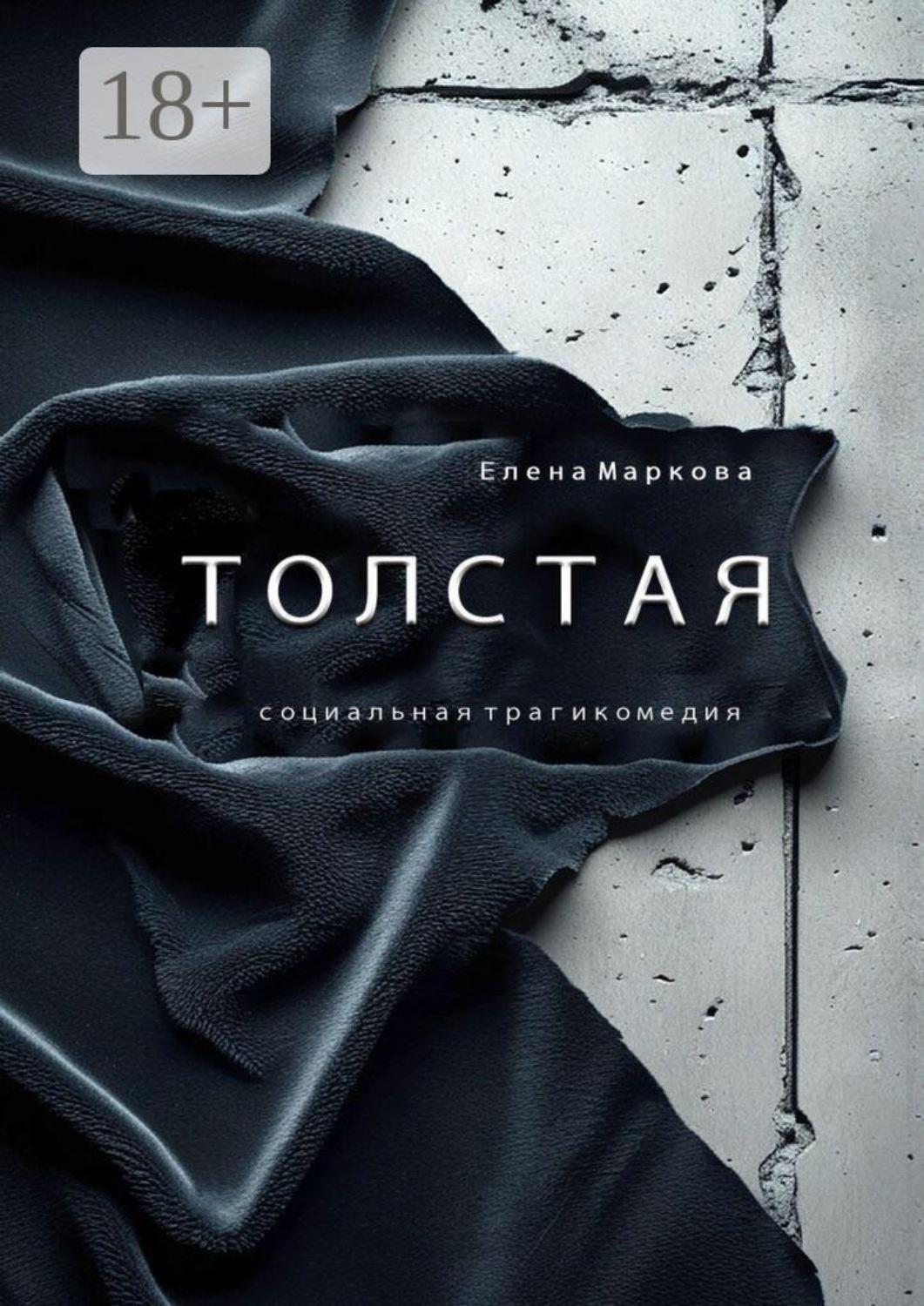 Обложка книги «Толстая»