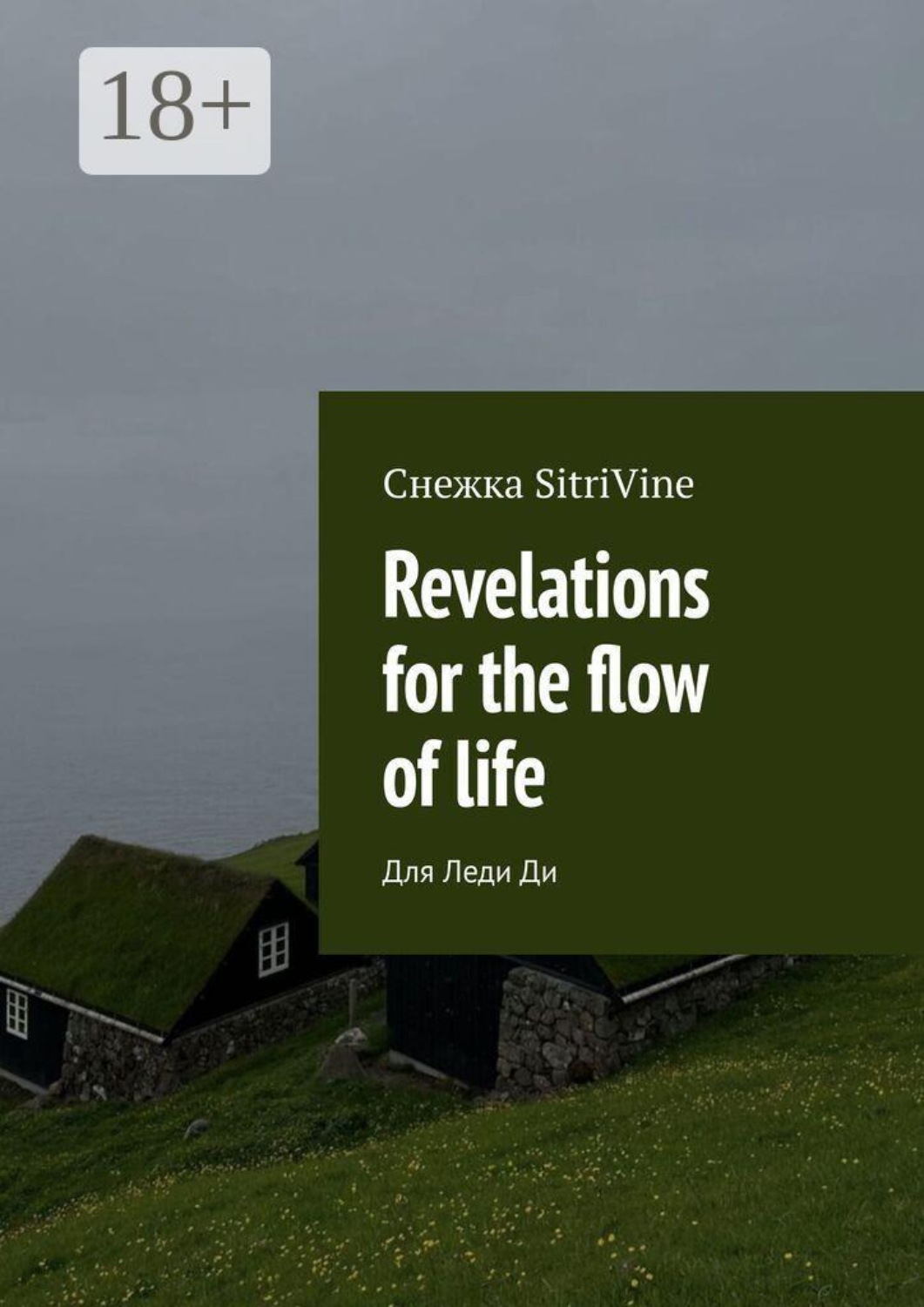 Обложка книги «Revelations for the flow of life. Для Леди Ди»