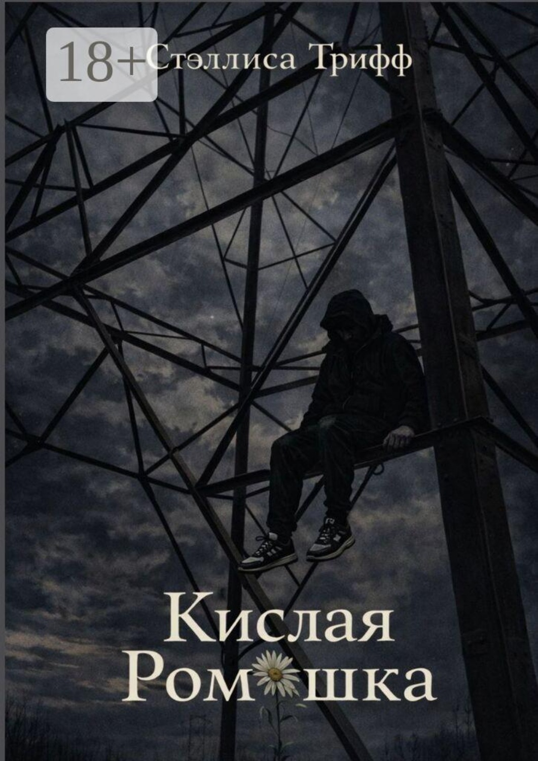 Обложка книги «Кислая Ромашка»