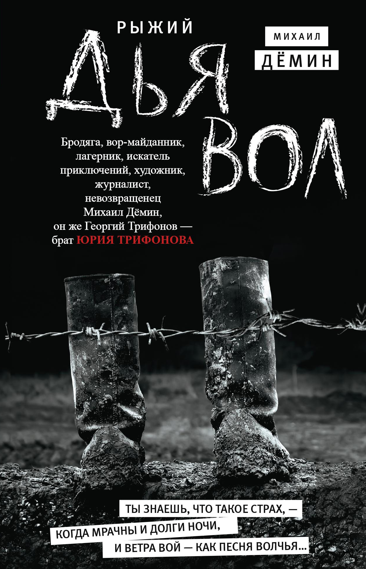 Обложка книги «Рыжий дьявол»