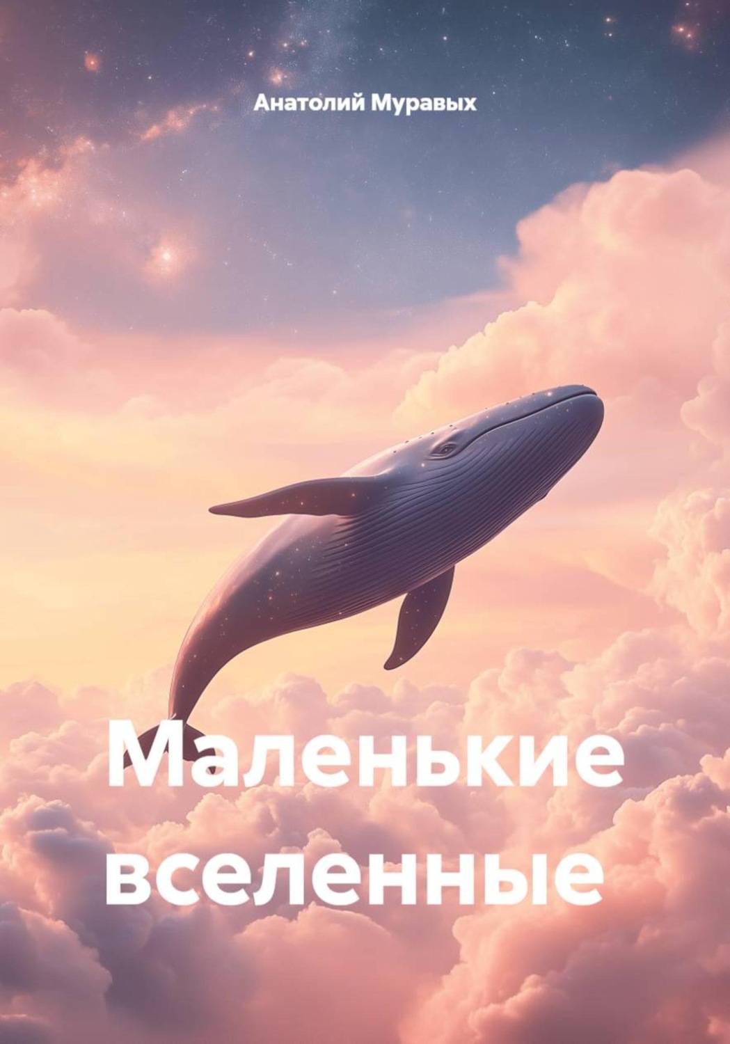 Обложка книги «Маленькие вселенные»