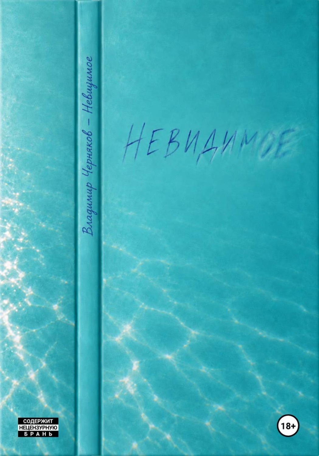 Обложка книги «Невидимое»