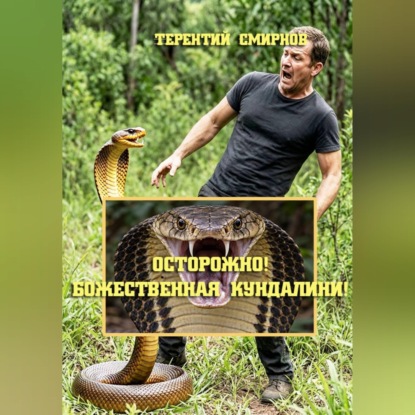 Обложка книги «Осторожно! Божественная Кундалини! Книга Первая»