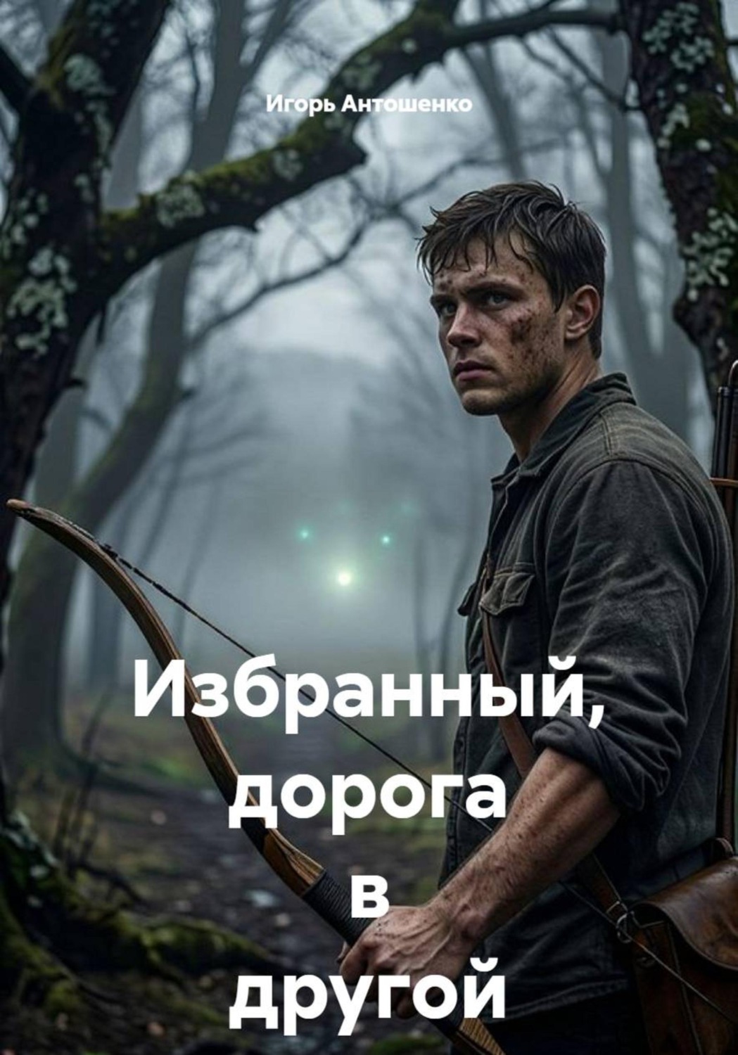 Обложка книги «Избранный, дорога в другой мир»
