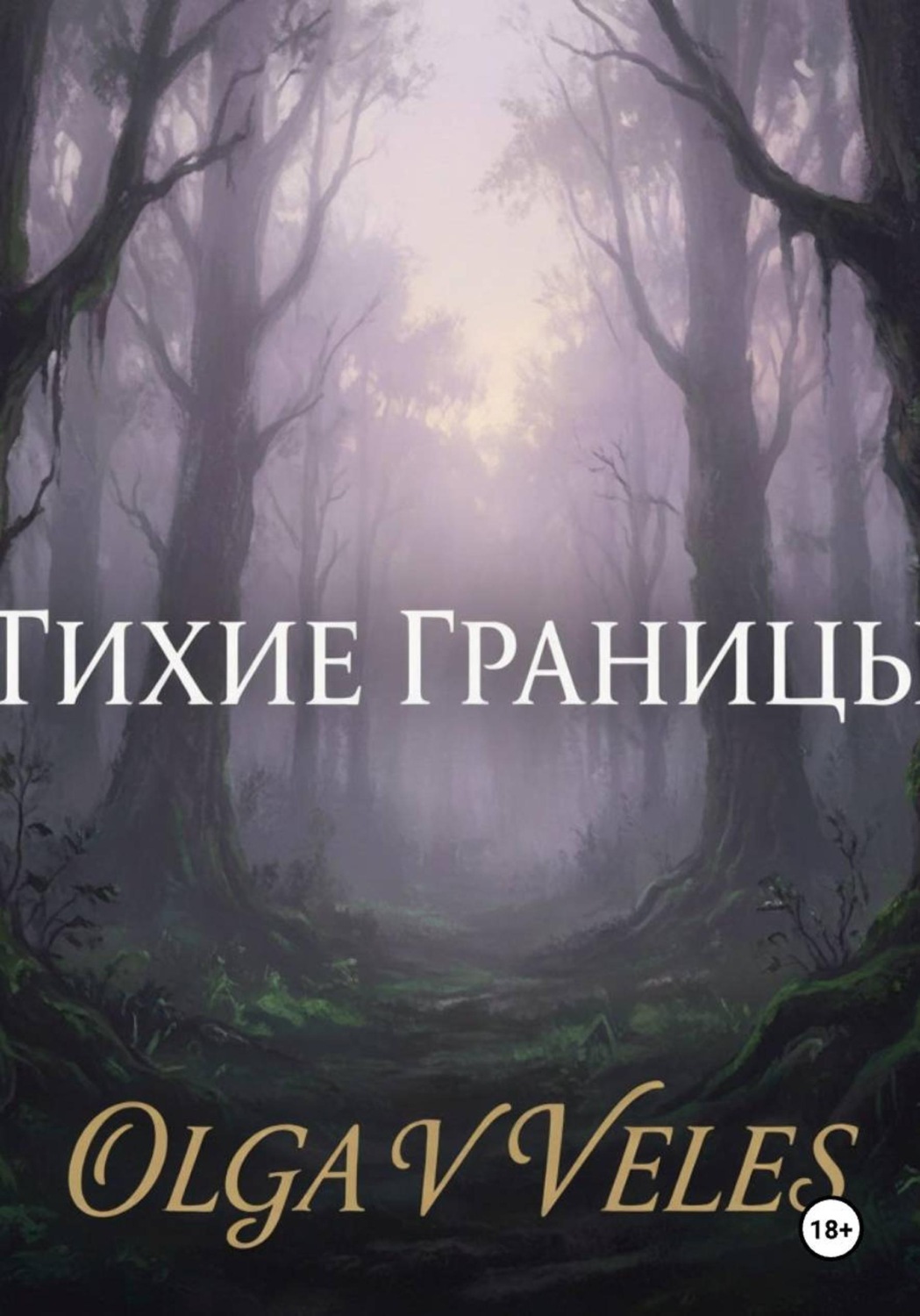 Обложка книги «Тихие границы»