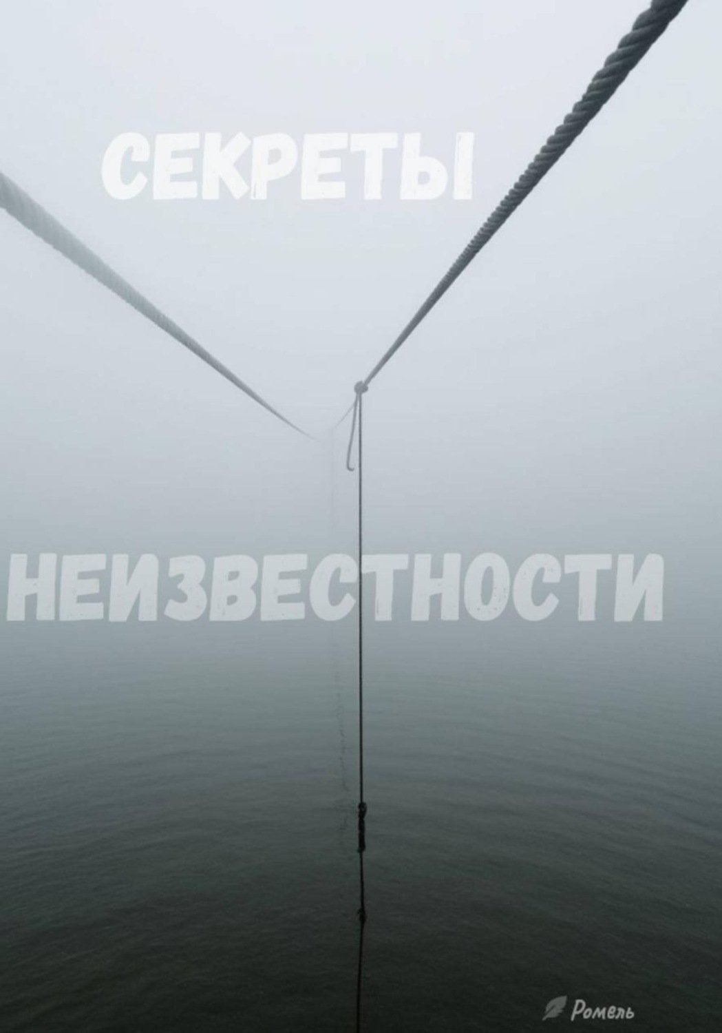 Обложка книги «Секреты неизвестности»