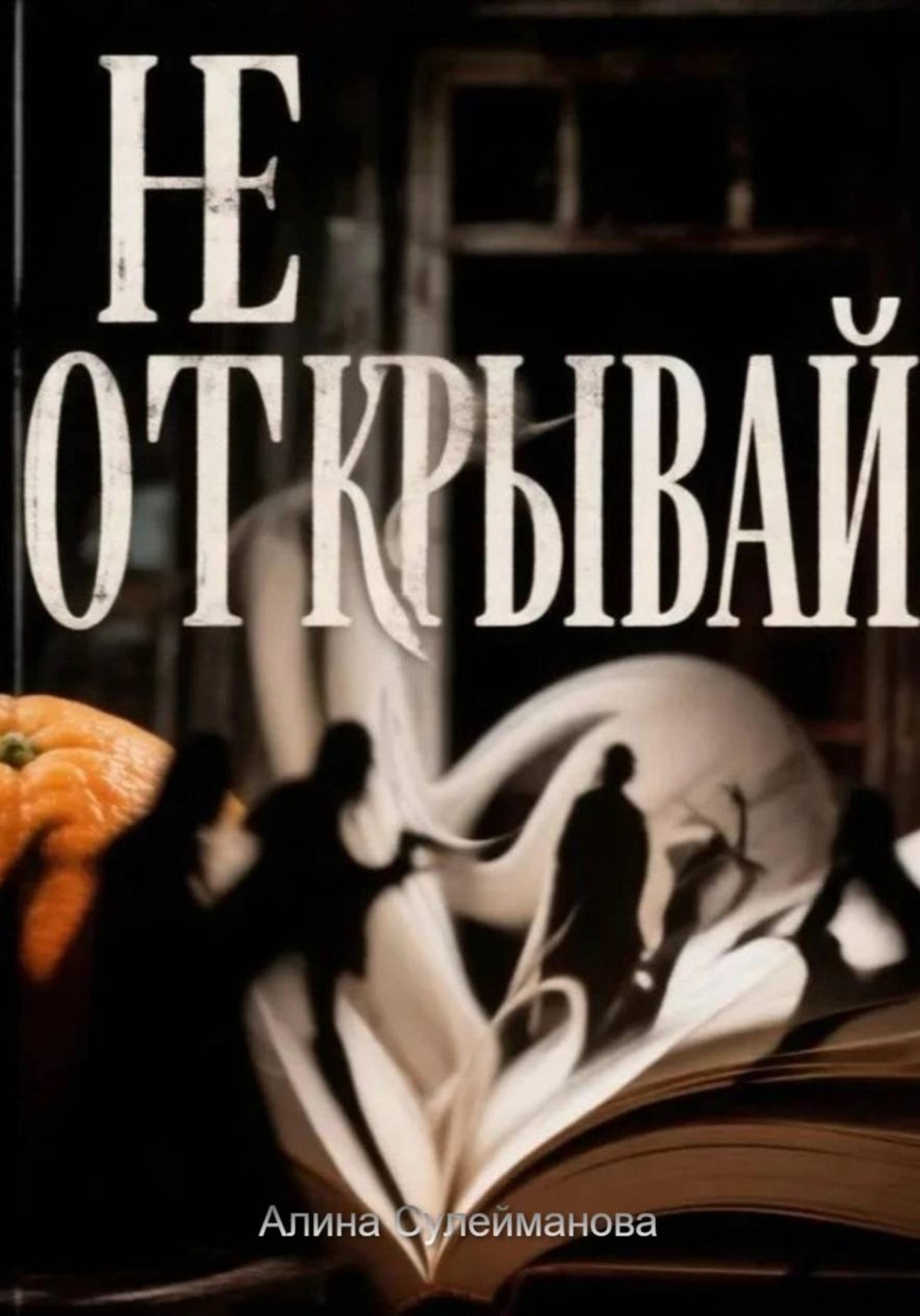 Обложка книги «Не открывай»