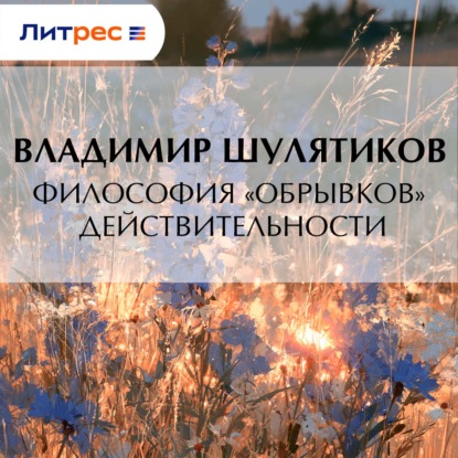 Обложка книги «Философия «обрывков» действительности»