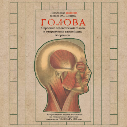 Обложка книги «Голова. Строение человеческой головы и отправления важнейших её органов»
