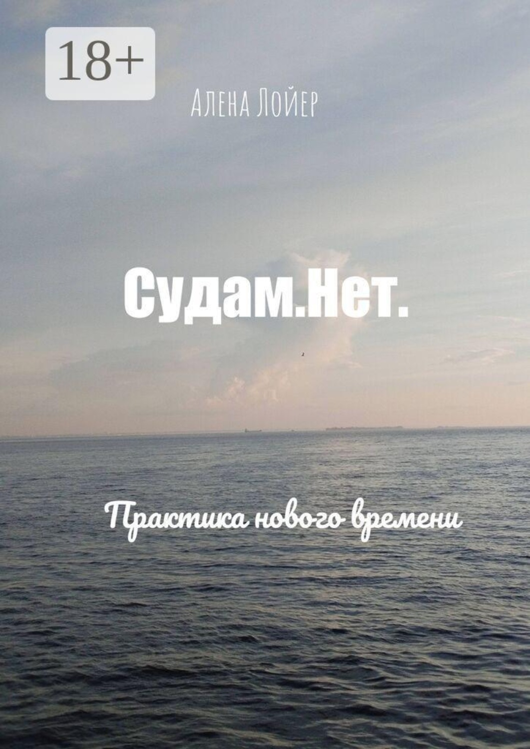Обложка книги «Судам. Нет. Практика нового времени»