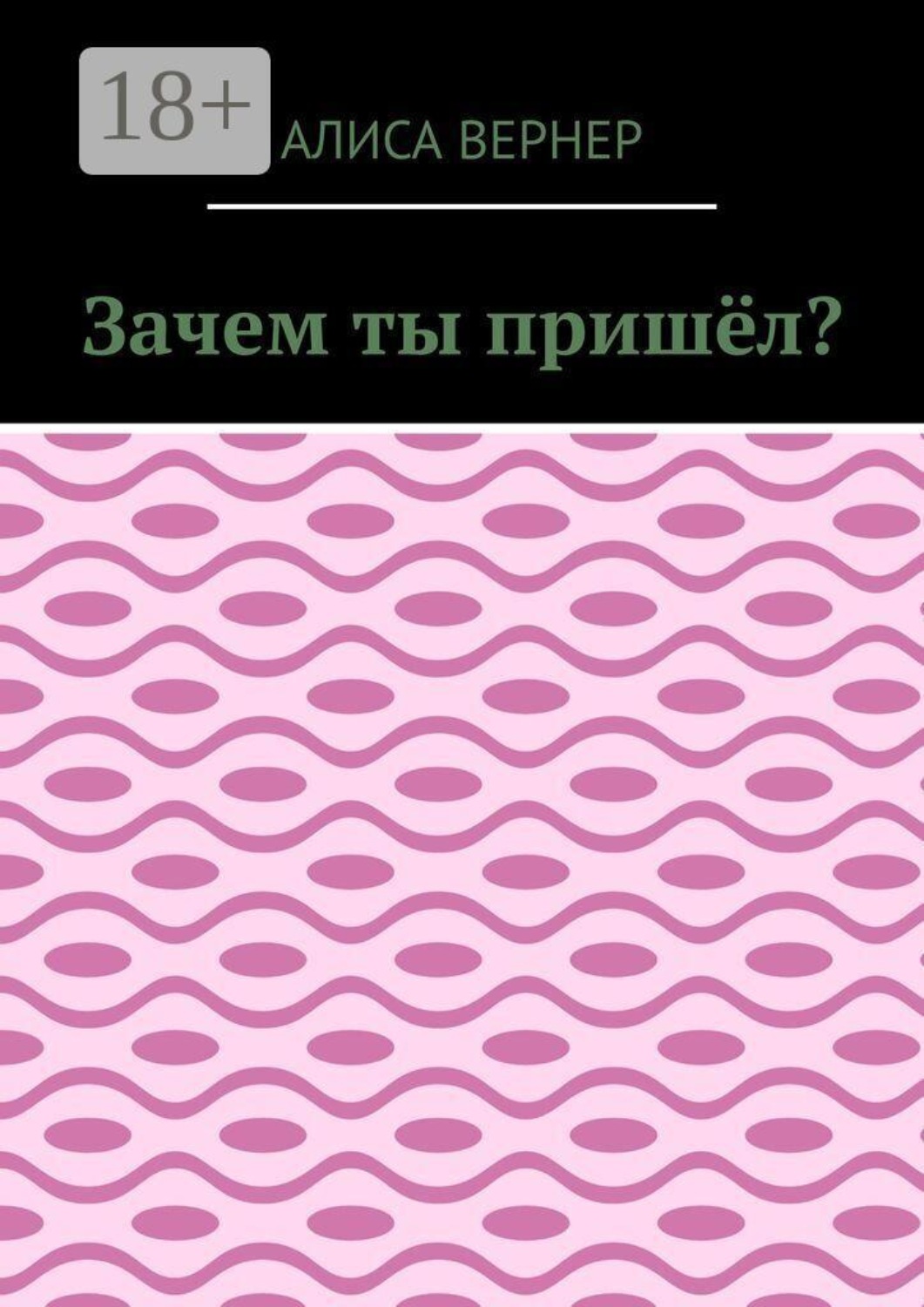 Обложка книги «Зачем ты пришёл?»