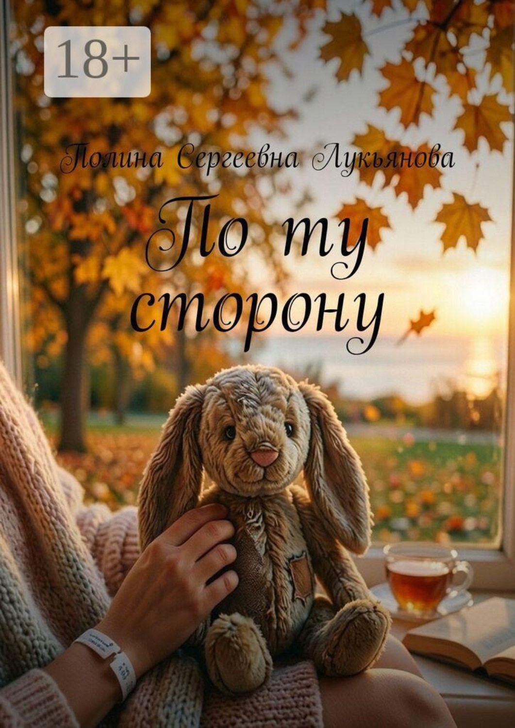 Обложка книги «По ту сторону»